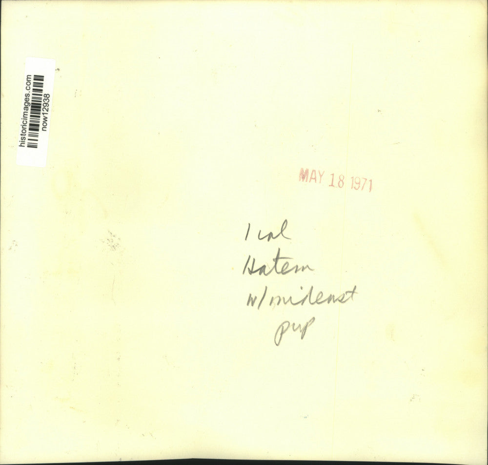 1971 Press Photo Abdel Kade Hatem, Egypt's Minister of Information - now12938