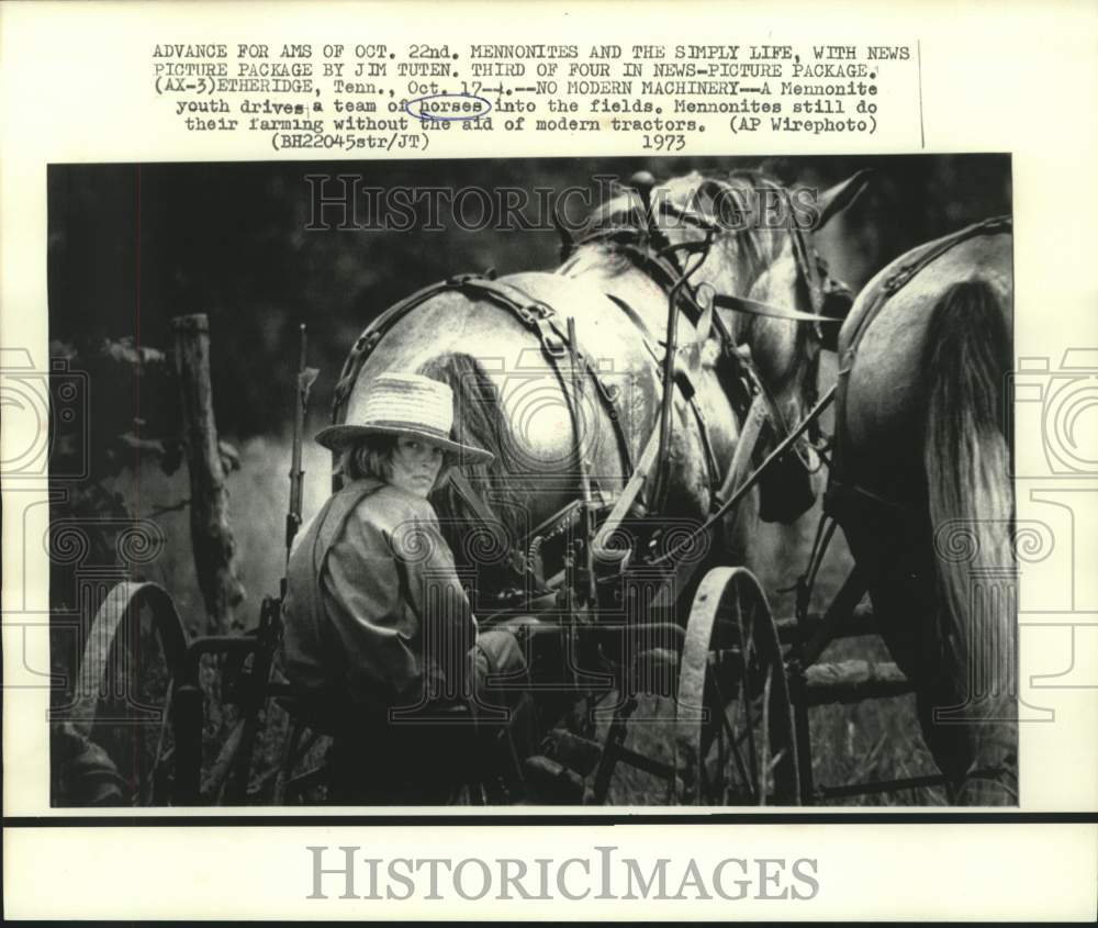 1973 Press Photo Etheridge, Tennessee Mennonite youth drives horses into field