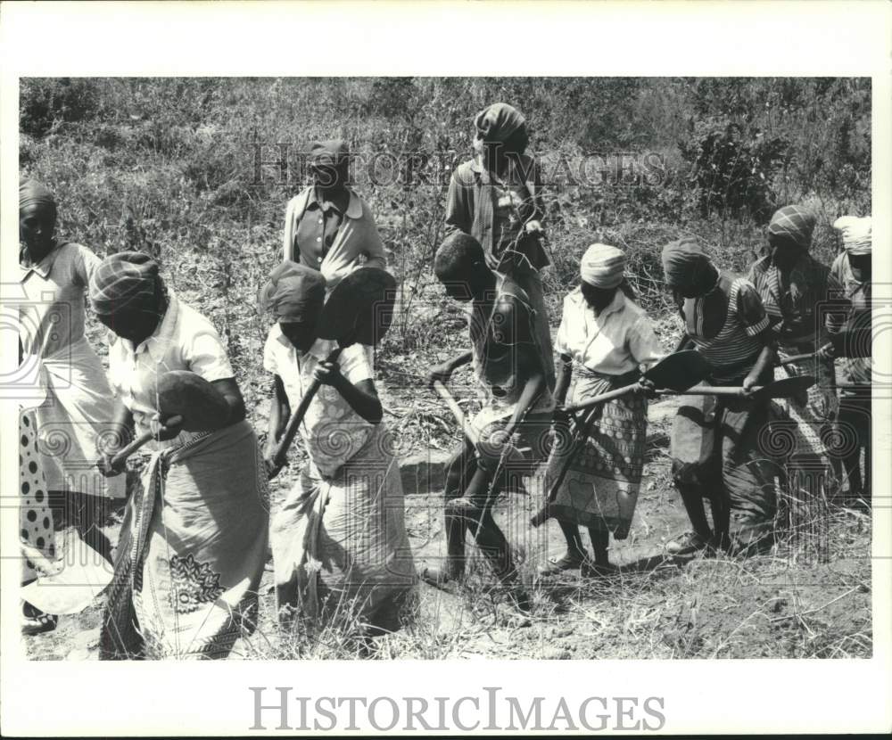 1978 Press Photo Kamba people perform Harambee doing farm work. - now14100