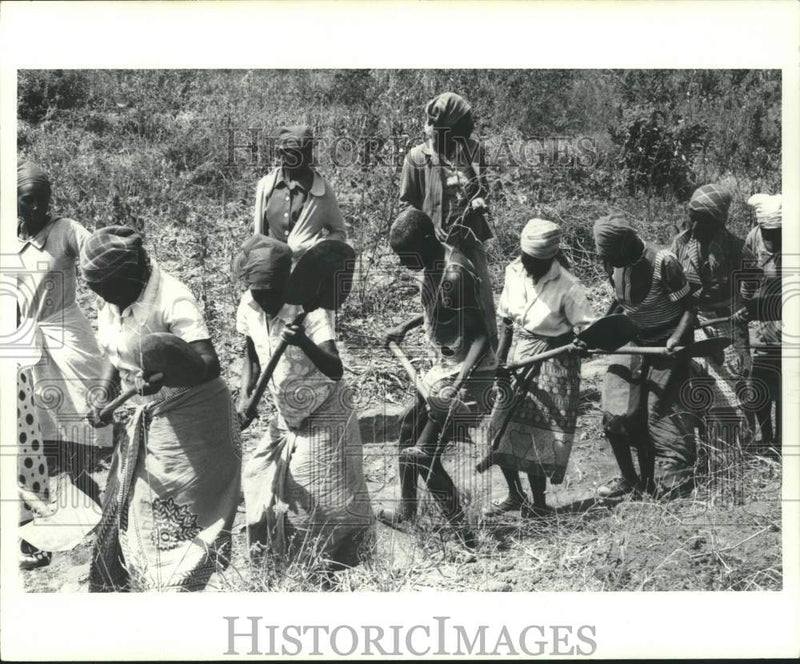 Load image into Gallery viewer, 1978 Press Photo Kamba people perform Harambee doing farm work. - now14100

