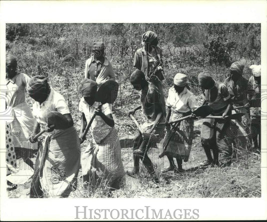 1978 Press Photo Kamba people perform Harambee doing farm work. - now14100
