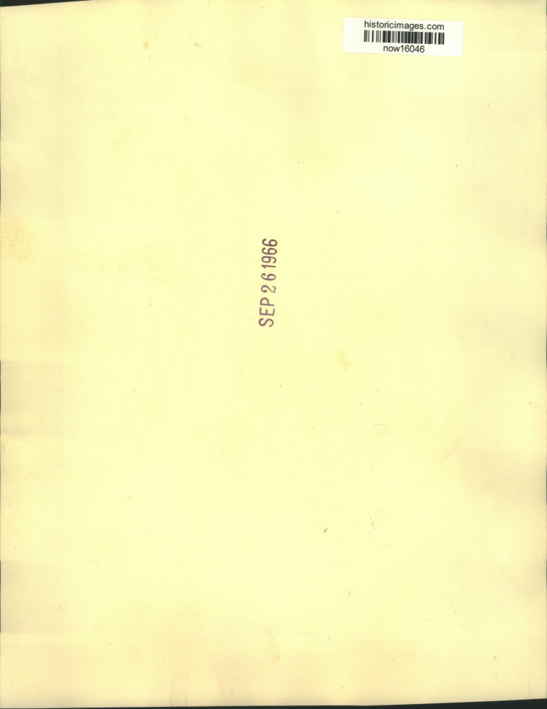 1966 Press Photo Escaped snow leopard tumbles from rooftop tumbling from dart.