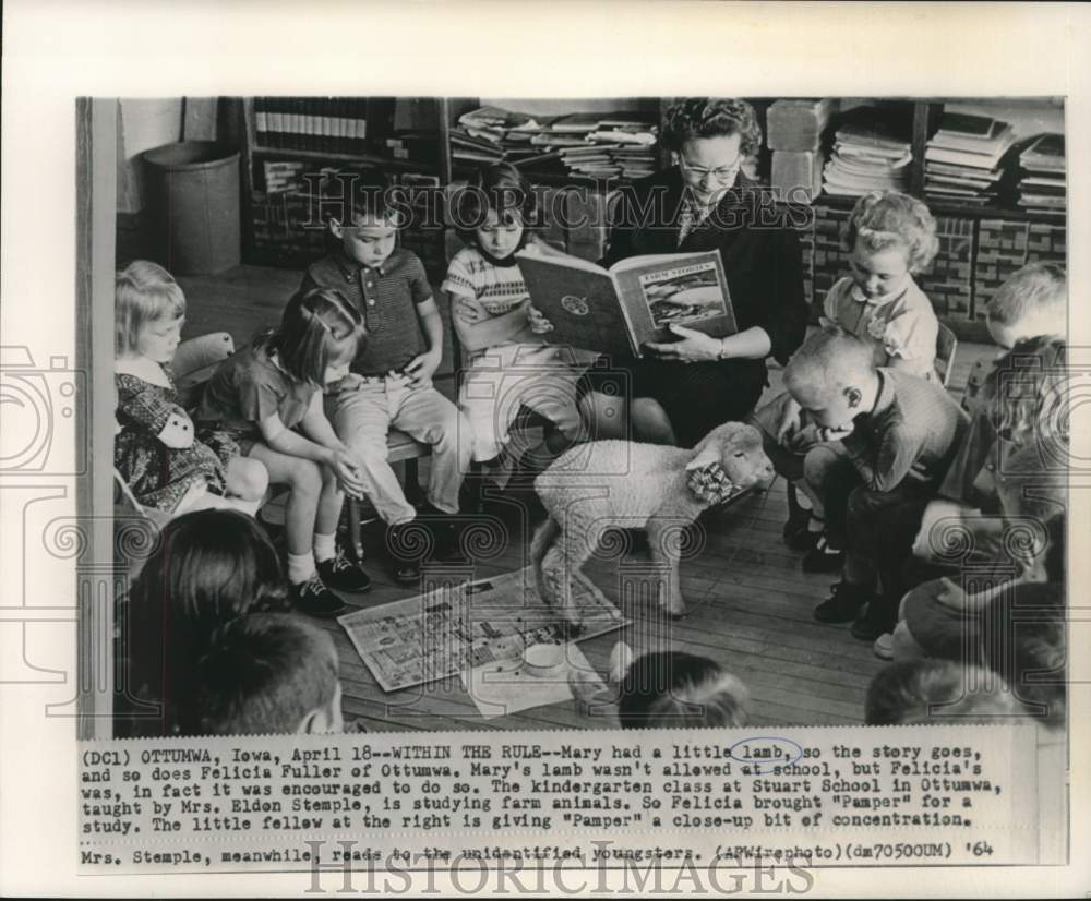 1964 Press Photo Felicia Fuller&#39;s lamb &quot;Pamper&quot; visits kindergarten class