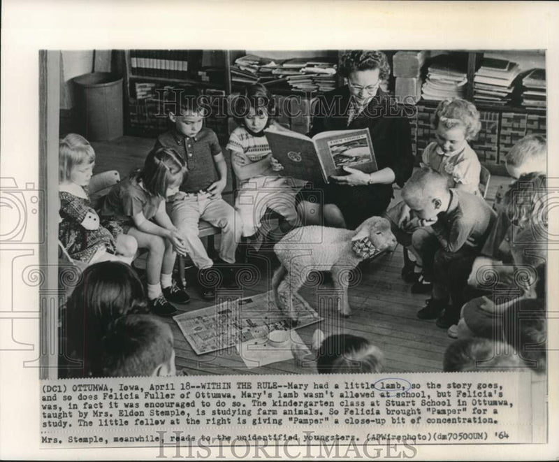 Load image into Gallery viewer, 1964 Press Photo Felicia Fuller's lamb "Pamper" visits kindergarten class
