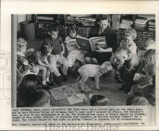 1964 Press Photo Felicia Fuller's lamb "Pamper" visits kindergarten class