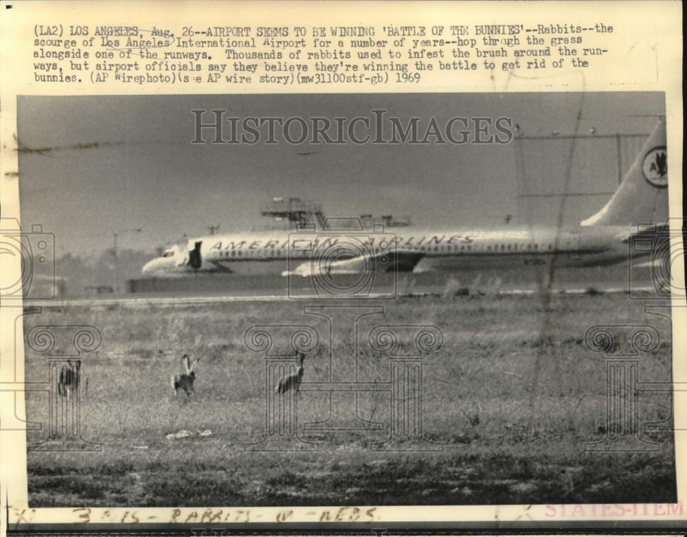 1969 Press Photo Rabbits hop alongside runways at Los Angeles Airport