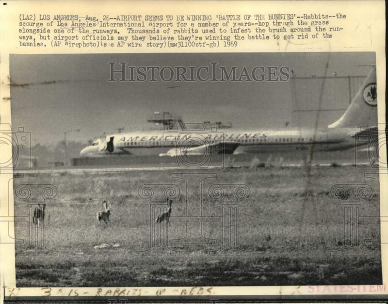 Load image into Gallery viewer, 1969 Press Photo Rabbits hop alongside runways at Los Angeles Airport
