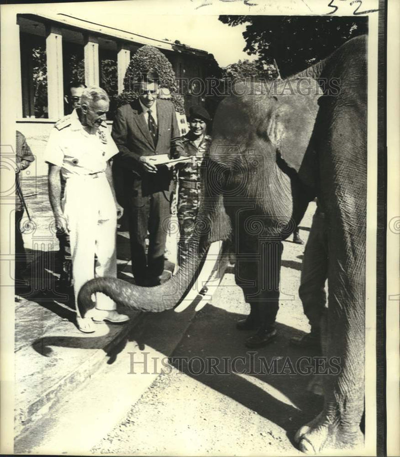 Load image into Gallery viewer, 1971 Press Photo Pacific US Forces Commander Admiral M'Cain looks at elephant
