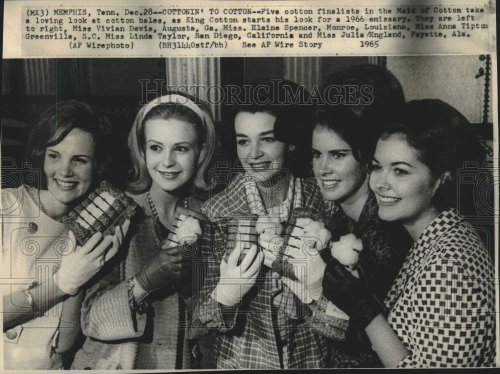 1965 Press Photo Five cotton finalist look at cotton bales in Memphis, TN