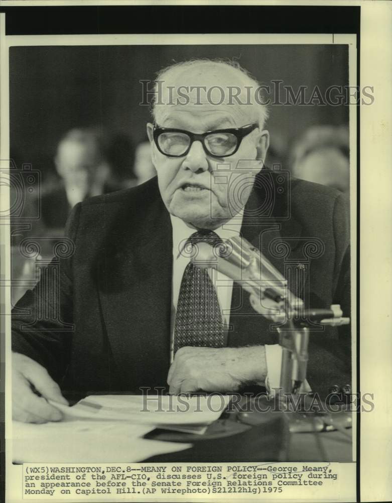 1975 Press Photo George Meany, President of the AFL-CIO - now22399