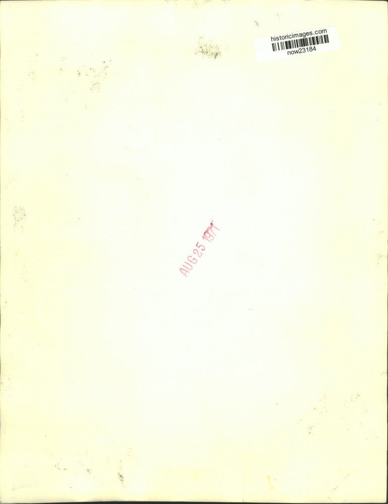 1971 Press Photo AFL-CIO President George Meany speaks at Transportation Union