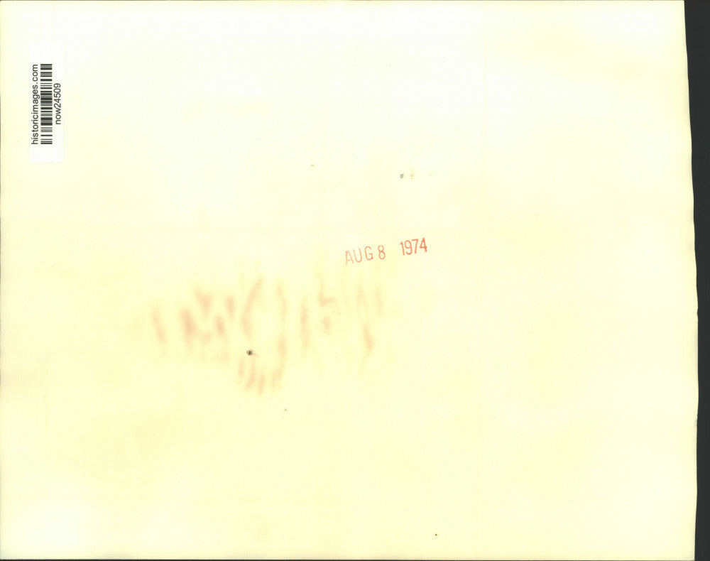 1974 Press Photo Michigan's Governor-elect Sander Levin and wife at hotel rally