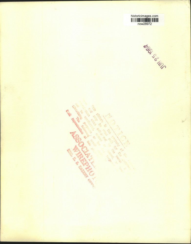 1964 Press Photo Crowned Guenon monkey with mother at Cincinnati Zoo - now28972