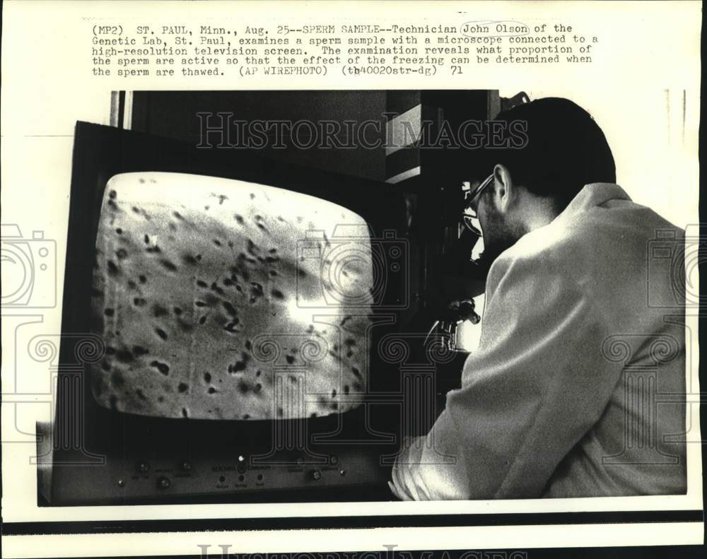 1971 Press Photo St. Paul Genetic Lab technician John Olson examines sperm