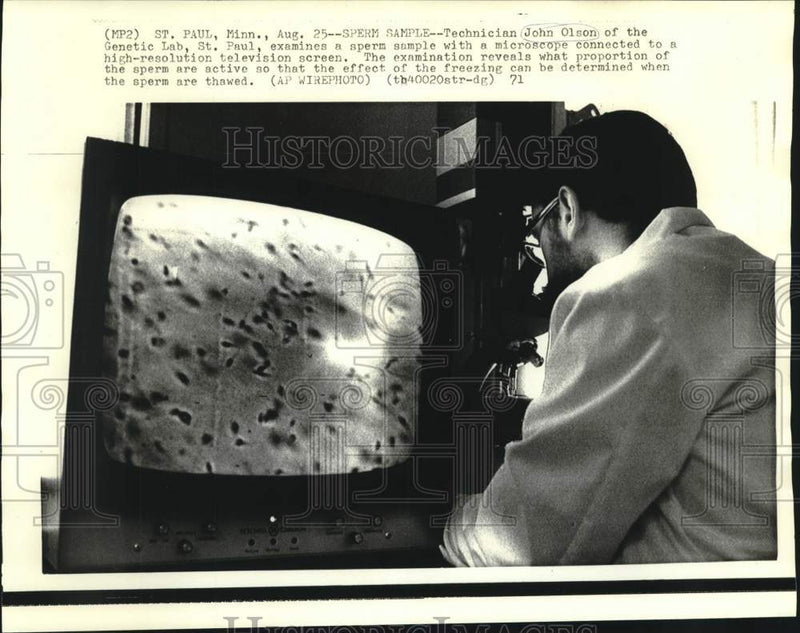 Load image into Gallery viewer, 1971 Press Photo St. Paul Genetic Lab technician John Olson examines sperm
