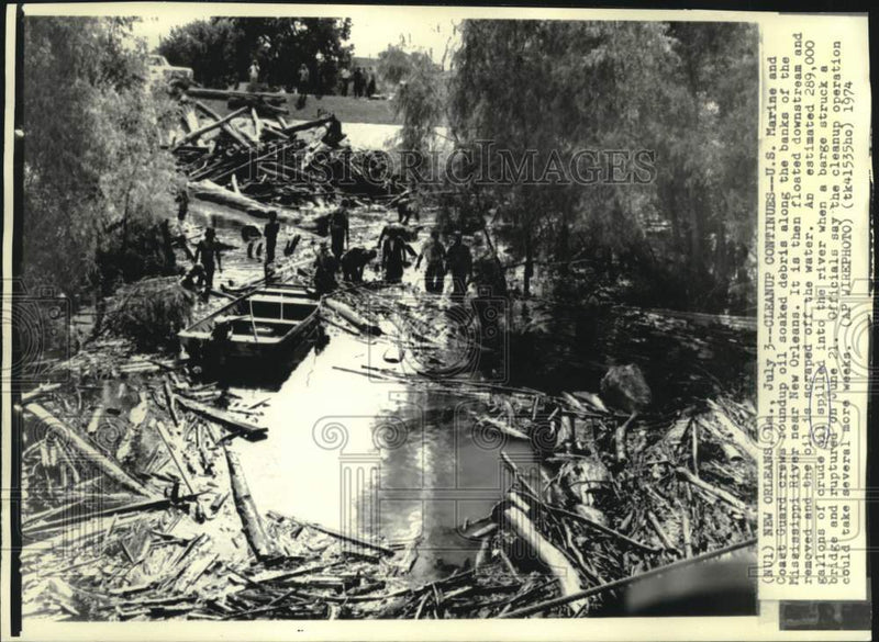 Load image into Gallery viewer, 1974 Press Photo Marines and Coast Guardsmen clean oil from banks of Mississippi
