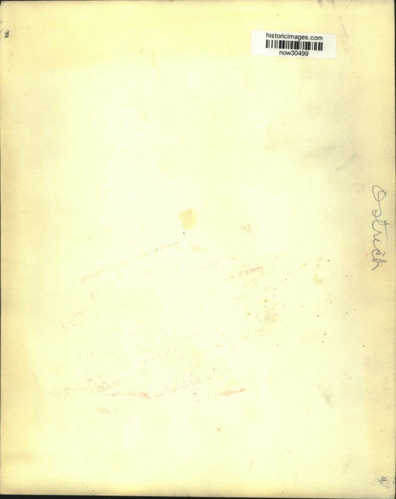 1957 Press Photo Becky Green holds egg laid by Birmingham Zoo ostrich