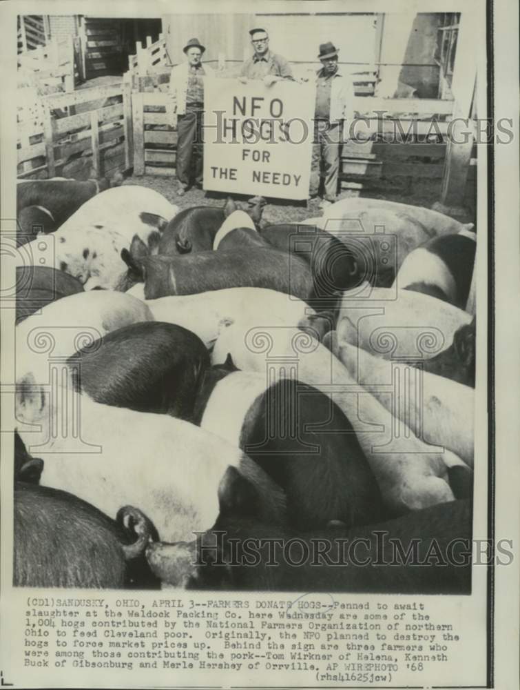Load image into Gallery viewer, 1968 Press Photo NFO farmers donate hogs to Waldock Packing Company to feed poor
