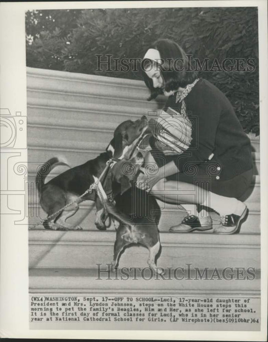 1964 Press Photo Luci Johnson and family Beagles, Him and Her at White House