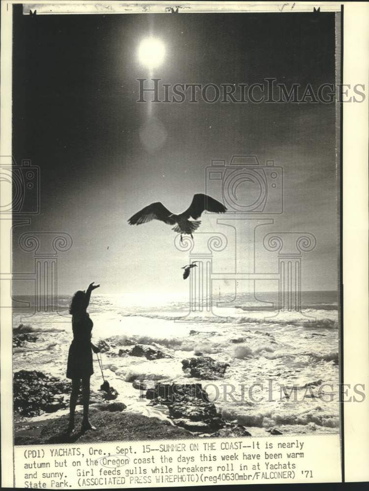 1971 Press Photo Girl feeds gulls in Oregon&#39;s Yachats State Park - now33197