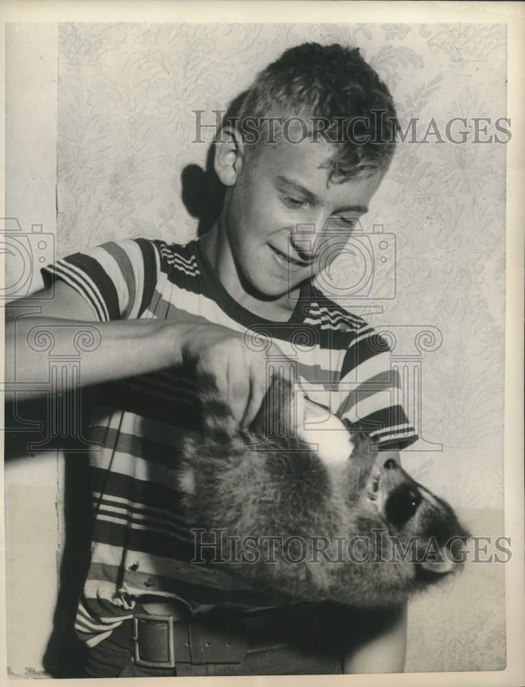 1958 Press Photo John Anderson of Vermont feeds raccoon in upside-down method.
