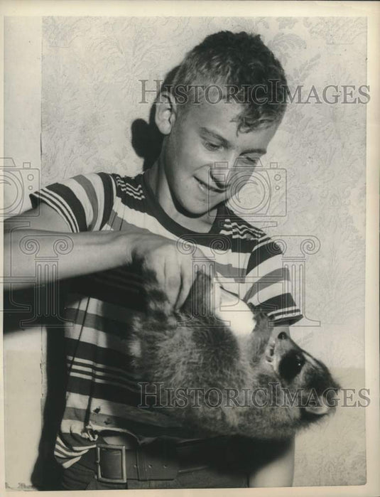 1958 Press Photo John Anderson of Vermont feeds raccoon in upside-down method.