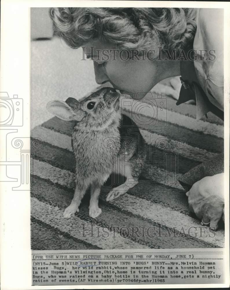 1965 Press Photo Mrs. Melvin Hupman of Ohio kisses her wild rabbit, Bugs