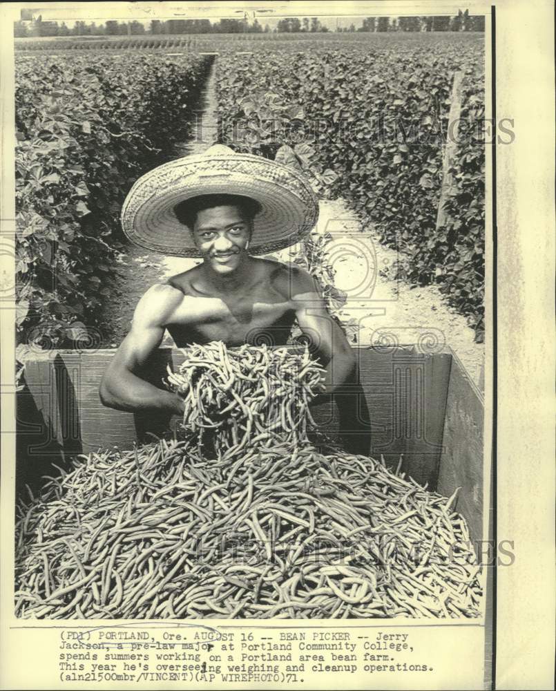 1971 Press Photo Pre-law major Jerry Jackson works on Portland area bean farm