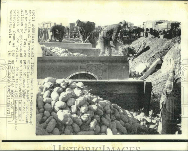 Load image into Gallery viewer, 1970 Press Photo NFO farmers destroy potatoes to protest low prices in Idaho
