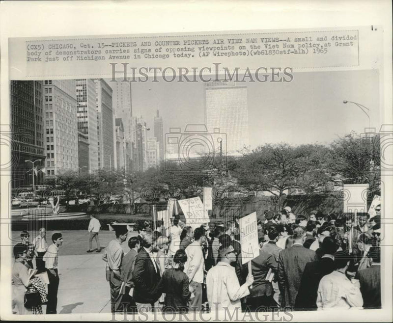 Load image into Gallery viewer, 1965 Press Photo Opposing Vietnam policy demonstrators in Chicago's Grant Park
