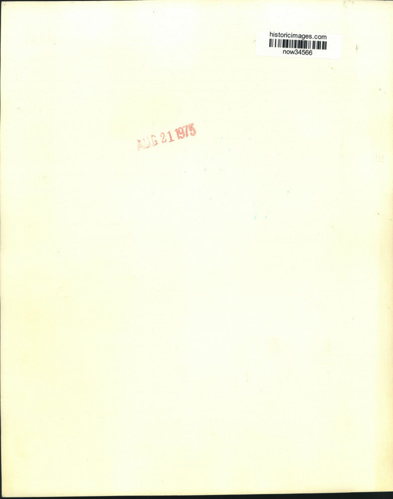 1975 Press Photo Washington's National Zoo lesser Panda Maria hangs on limb