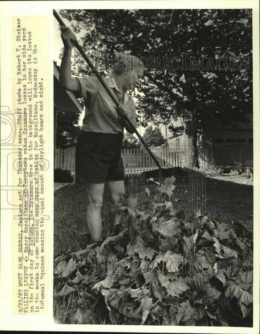 1987 Press Photo Nancy Napolitano rakes Sycamore leaves at her Terrytown home