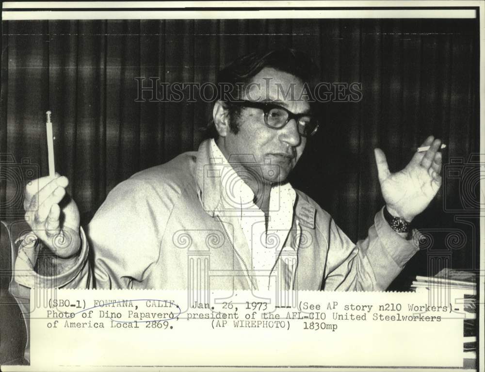 1973 Press Photo AFL-CIO United Steelworkers President Dino Papavero - now35304