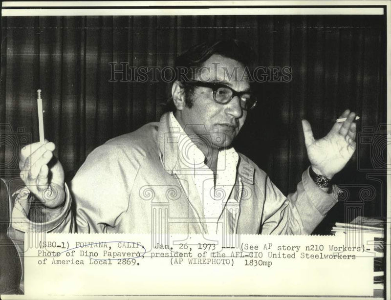 Load image into Gallery viewer, 1973 Press Photo AFL-CIO United Steelworkers President Dino Papavero - now35304
