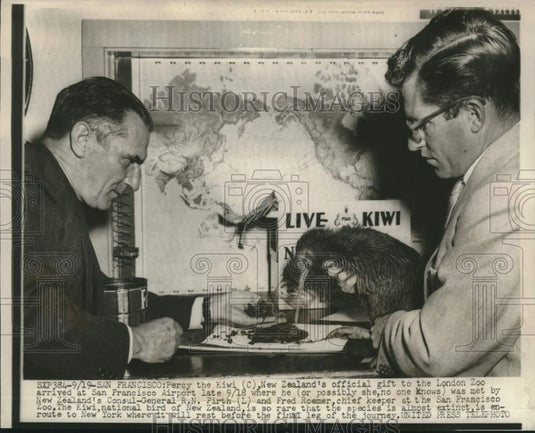 1953 Press Photo Percy the Kiwi met by R.N. Firth and Fred Roemer in California