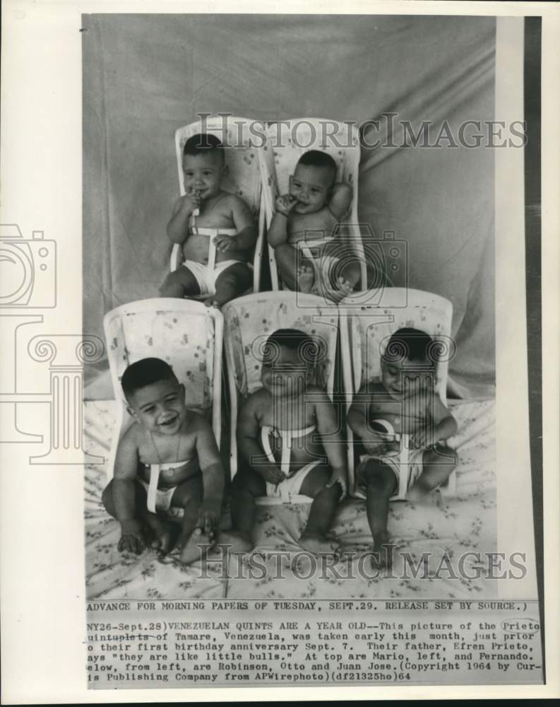 Load image into Gallery viewer, 1964 Press Photo Venezuelan Prieto quintuplets at first birthday anniversary

