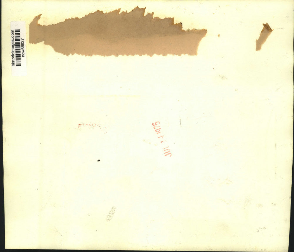 1975 Press Photo Senators B.B. Rayburn and Cecil Blair read a bill in Louisiana