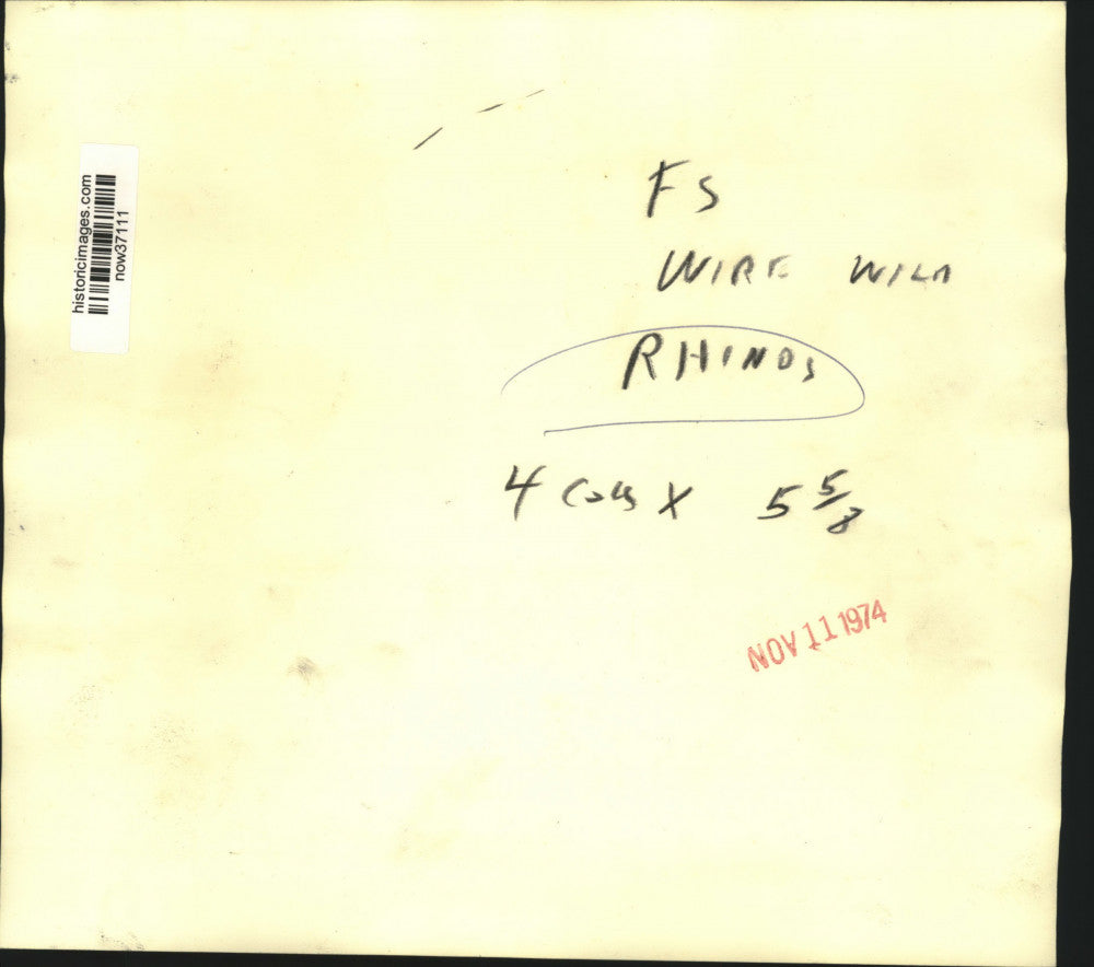 1974 Press Photo Adult and baby rhinoceroses - now37111