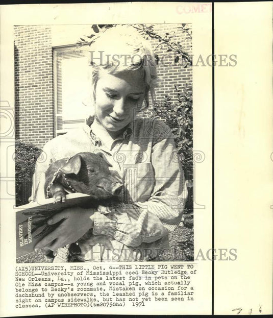 1971 Press Photo Becky Rutledge holds a pig on the Univ. of Mississippi campus