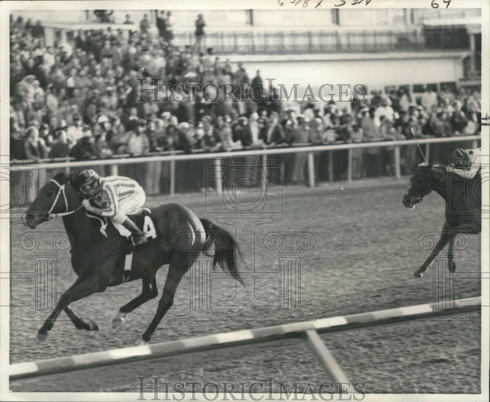 1979 Press Photo Racehorse A Letter to Harry winning Fair Grounds Classic- Historic Images