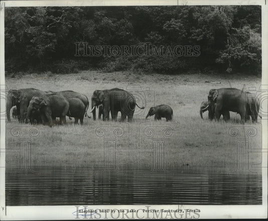 1974 Press Photo Elephant herd by the lake: Periyar Sanctuary, Kerala