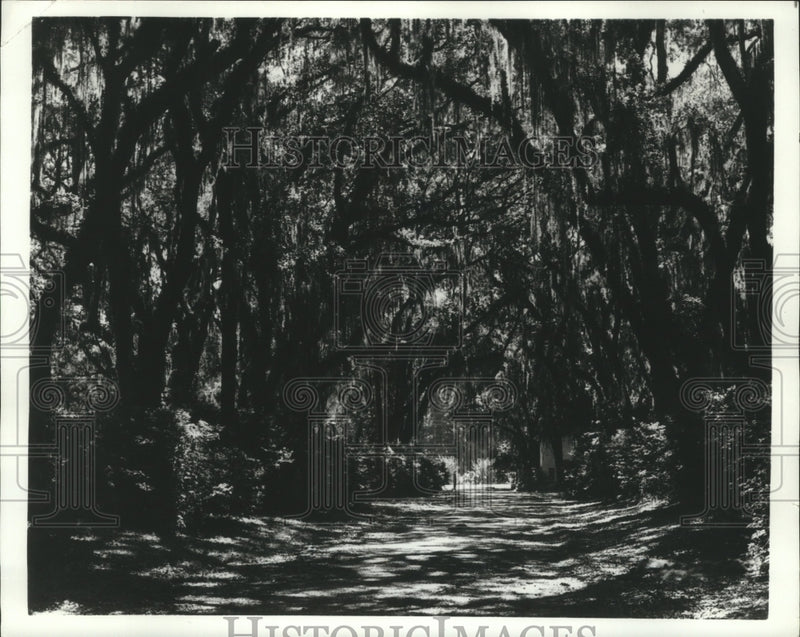 Load image into Gallery viewer, 1973 Press Photo The Formal Gardens at Afton Villa framed by arched trees
