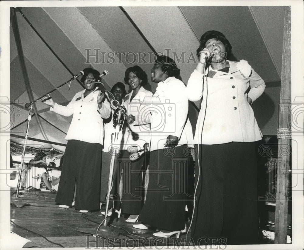 1973 Press Photo Jazz Festival at the New Orleans Fairgrounds - nox00655