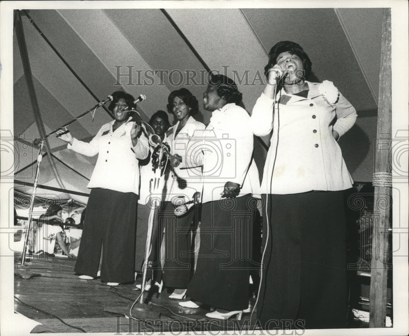 Load image into Gallery viewer, 1973 Press Photo Jazz Festival at the New Orleans Fairgrounds - nox00655
