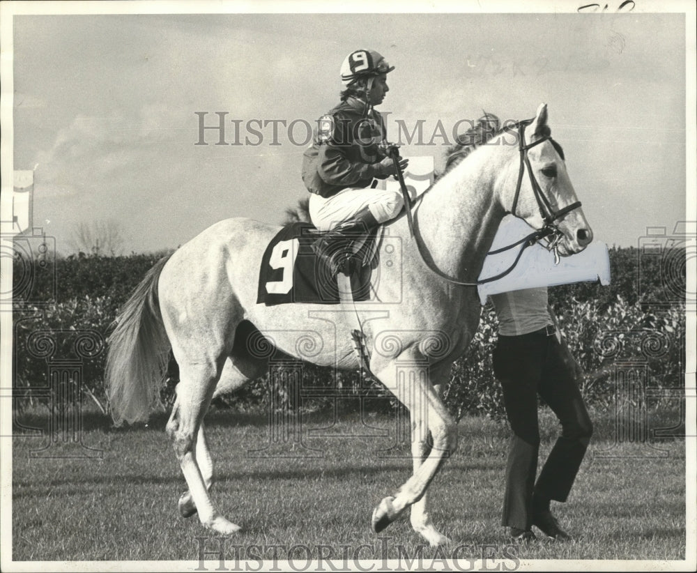 1976 Press Photo Gay Jitterbug with Jockey up and trainer - nox00916- Historic Images