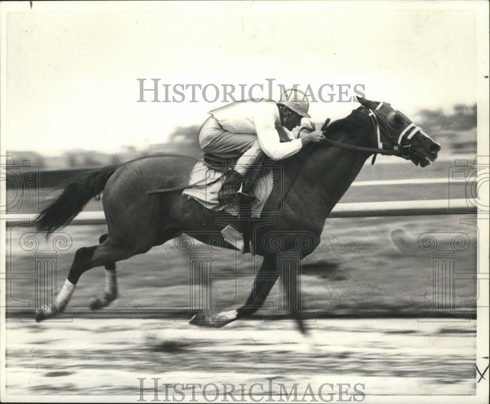 1969 Press Photo Irish Dude with Jimmy Nichols up - nox00959- Historic Images