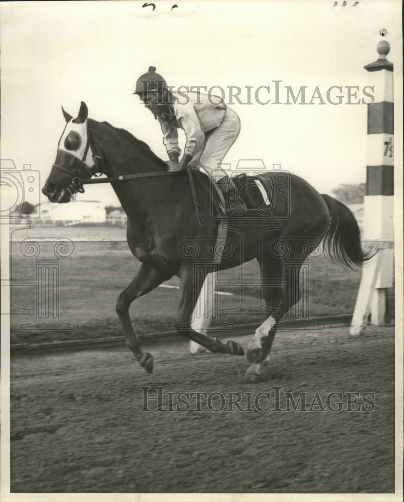 Press Photo T.A. Grissom&#39;s horse City Line - jockey R.L. Baird up - nox01085- Historic Images