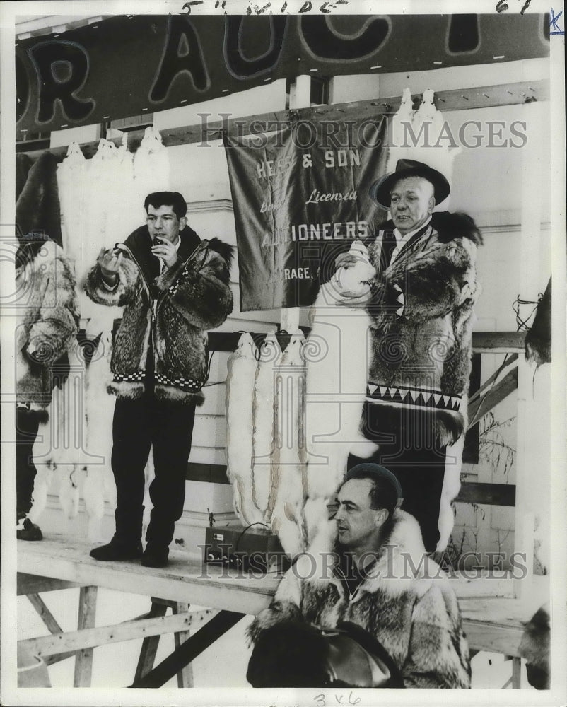 1972 Press Photo Anchorage Fur Rendevous Fur Auction on The Last Frontier