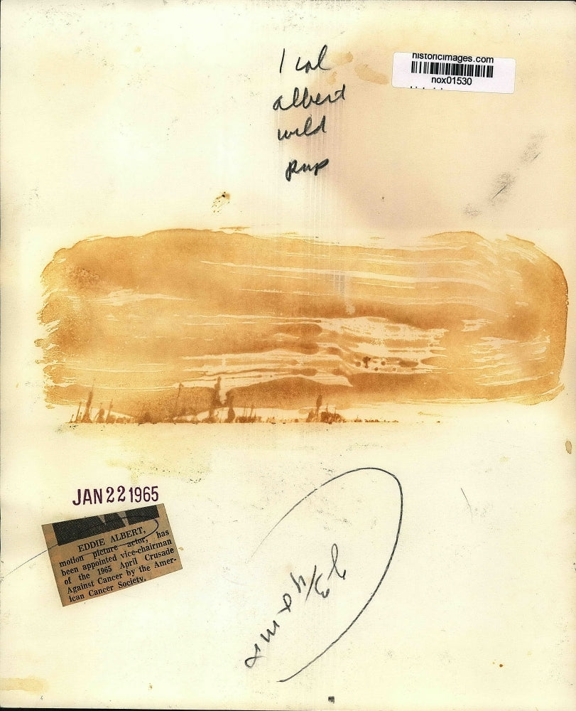 1965 Press Photo Actor Eddie Albert, Vice Chairman April Crusade Against Cancer