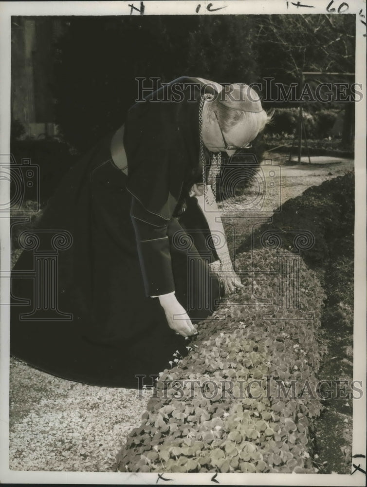 1960 Press Photo Bernard John Alfrink Chosen New Prince of Roman Catholic Church- Historic Images